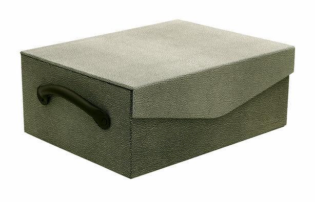 Viceroy l'ermitage - shagreen shoe box-614-xxx_q85